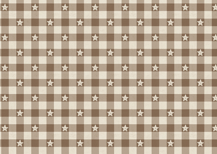 Whaley Great, Gingham Star Sand - Roman Blind - Image 7